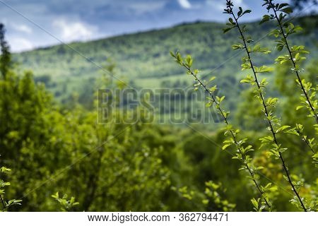 Urich Village,  Lviv Region, Ukraine, May 26, 2019, Museum Tustan Fortress, Truskavets,