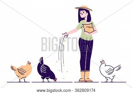 Female Farmer Feeding Chickens Flat Vector Character. Poultry Backyard Farm Cartoon Concept With Out