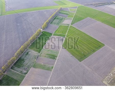 Small Agricultural Plantations With Different Crops And Growing Crops In Rural Areas.