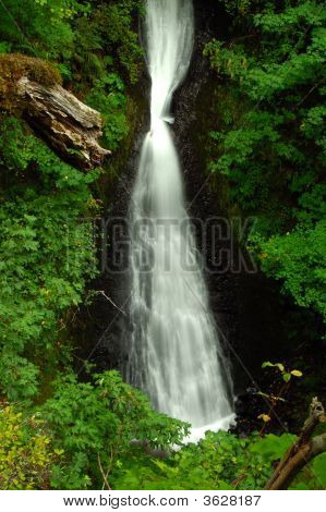 Matka natura białe włosy