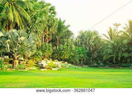 Fresh Green Manila Grass Yard, Smooth Lawn Decorate With Stone In A Beautiful Botanical Palm Trees G