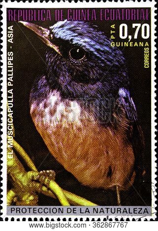 02.09.2020 Divnoe Stavropol Territory Russia Postage Stamp Equatorial Guinea 1976 Asian Birds Rufous