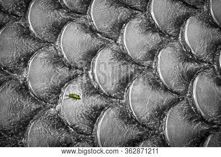 Small Leaf Is Struggling With The Water Flow Ressembling Life
