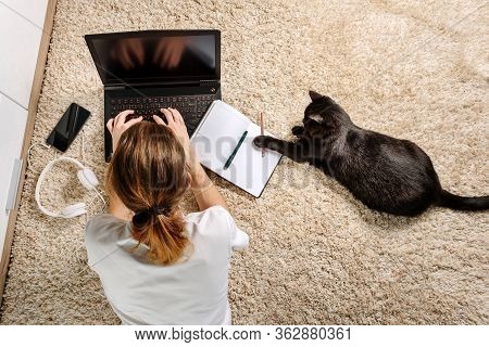 Student Working On A Laptop Lying On A Carpet. Nearby Lies A Cat Who Plays With A Pencil. The Concep