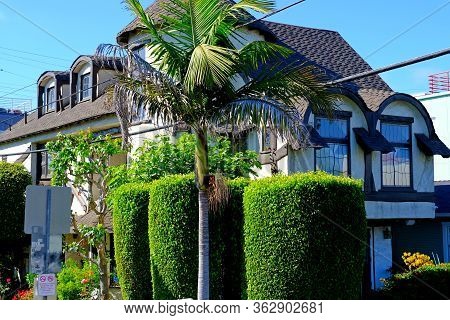 City Landscape. Usa, Los Angeles. July 2019
Colorful Background Of Houses And Plants For Publication