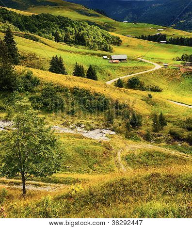 Paesaggio alpino