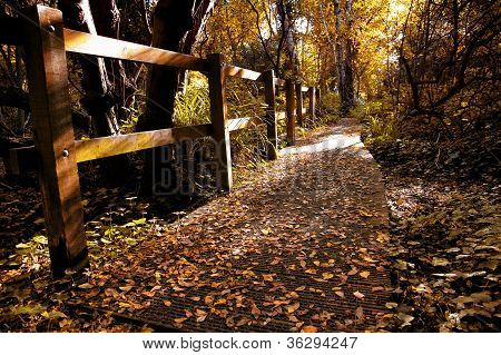 Wanderweg