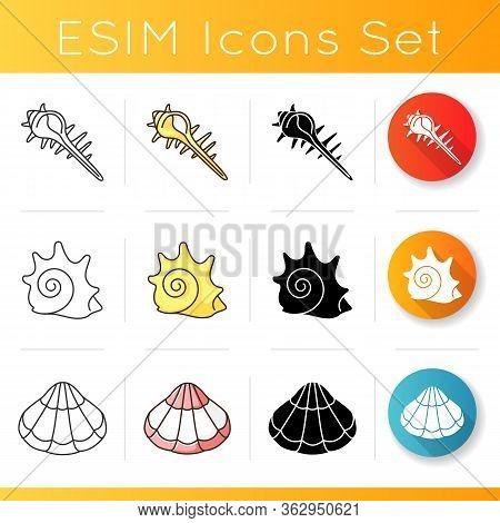 Various Seashells Icons Set. Linear, Black And Rgb Color Styles. Sea Shells Collection Hobby, Concho