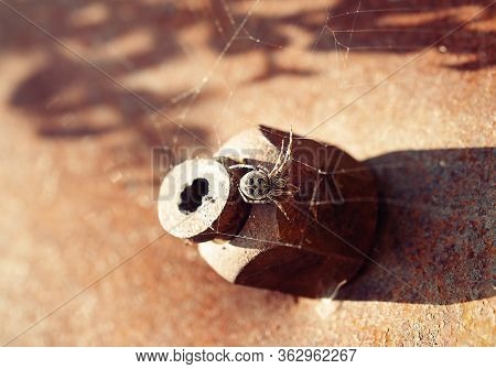 Spider On A Cobweb. Spider On Rusty Metal.