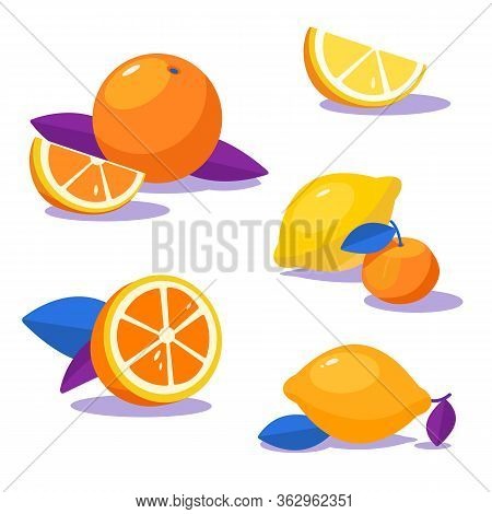 Set Of Fresh Citruses. Oranges And Lemons With Leaf. Contrast Gamma, Flat Graphics For Package Desig