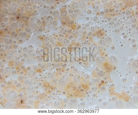 Yeast Starter In The Milk. Texture Of Active Yeast. Kneading The Dough, Stage 1.