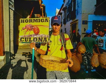 Cartagena, Colombia - November 09, 2019: Edible Ant Traditional From Santander Region Of Colombia Ca