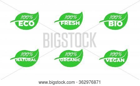 100 Percent Certified Quality Eco Fresh Bio Natural Organic Vegan Grean Leaf Product Badge Collectio