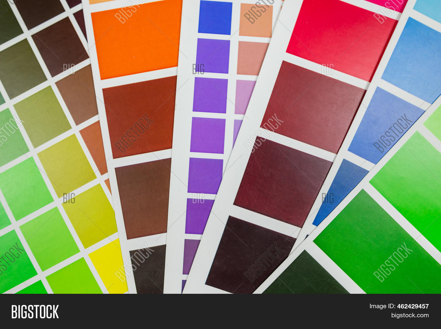 Color Palette . Color Image & Photo (Free Trial) Bigstock