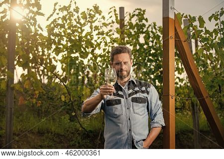 Mature Enologist Man Hold Wine Glass At Winery Outdoor, Cheers