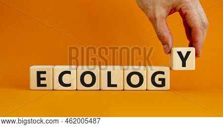 Ecology Symbol. The Concept Word Ecology On Wooden Cubes. Beautiful Orange Table, Orange Background,
