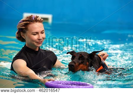 Dog In Life Jacket Swim In The Swimming Pool With Coach. Pet Rehabilitation. Recovery Training Preve