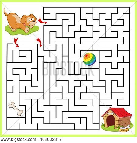 Help Dog To Find The Right Path To The Bone, Ball And House. Three Entrances, One Exit. Answer Under