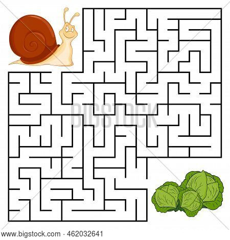 Square Maze For Kids With Cartoon Snail. Find Right Way To The Cabbage. Entry And Exit. Puzzle Game