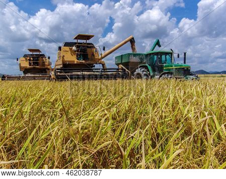 Roraima, Brazil, August 27, 2004. Combines Harvester Harvesting Rice On A Bright Day, In North Of Br