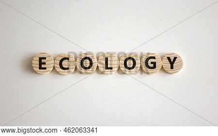 Ecology Symbol. The Concept Word Ecology On Wooden Circles. Beautiful White Background, Copy Space. 