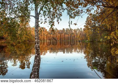 View Of The Lake With Autumn Yellow And Green Trees And Blue Sky, Natural Seasonal Background