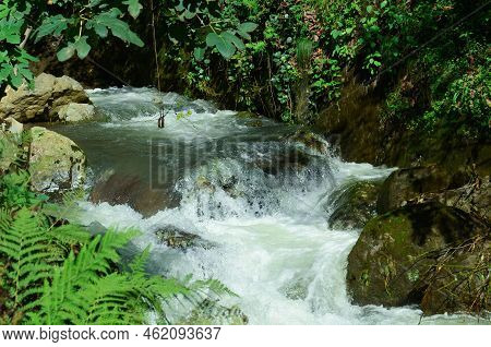 Clean Mountain Stream In The Forest On A Sunny Summer Day.