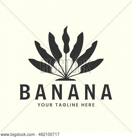 Vintage Banana Tree Style Logo Vector Template Icon Illustration Design
