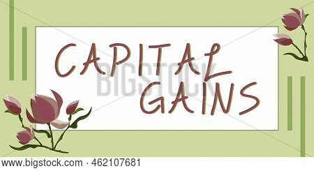 Text Showing Inspiration Capital Gains. Word For Bonds Shares Stocks Profit Income Tax Investment Fu