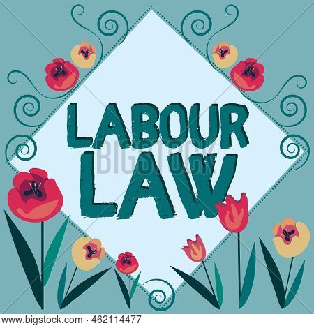 Sign Displaying Birth Life Date. Business Showcase Rules Implemented By The State Between Employers 
