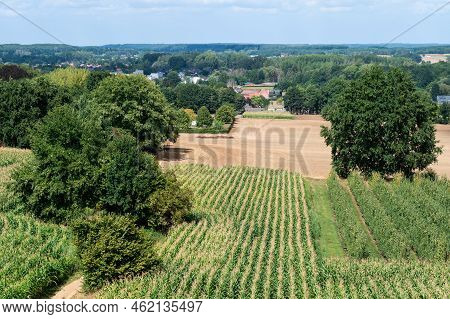 Rural Scene With Agricutlure Fields At The Flemish Countryside Around Tielt-winge, Belgium