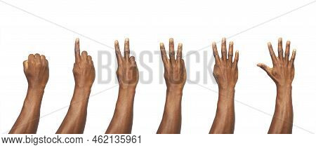 Set Of Counting Black Hands Isolated On White Background. Counting From 0 To 5