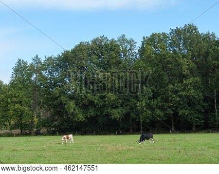 hiking at the berkel river in germany