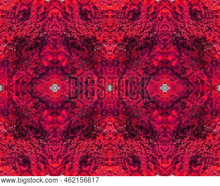Unusual Texture, Red Purple Color, Folds, Wrinkles, Protrusions, Layers, Non-uniform Uneven Surface.