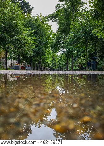 Long Path In Park Between Trees Reflected In Puddle
