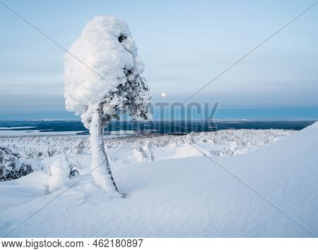 Ice Nature Lollipop. Winter Cotton Candy. Snow-covered Mountain Slope With Fancy White Trees On The 