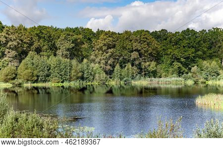 Clear Forest Lake With Clear Blue Water Near Sangaste Castle In The Estonian County Of Valga On Sout