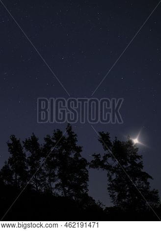 Unexplained Light Just Above Silhouetted Trees On A Star Filled Night
