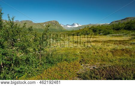 Glacier Covered Mountain On The Far Horizon In The Green Arctic Landscape Of Sarek National Park, Sw