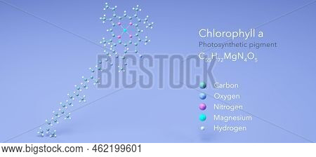 Chlorophyll A, Molecular Structures, Photosynthetic Pigment, 3d Model, Structural Chemical Formula A
