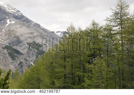 A Mountain Landscape Near Bormio