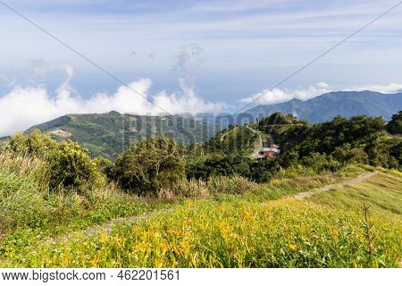 Orange day lily flower field in Taimali Kinchen Mountain in Taitung