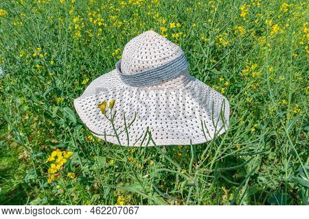 Beautiful Girl In Wide-brimmed Hat In A Flowering Field With White Dress. Sunbeams, Glare, Light Lea
