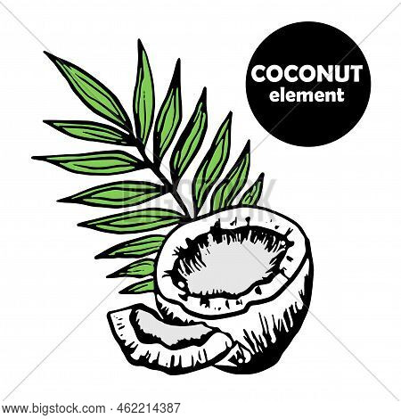 Coconut Half With Palm Leaf And Piece Of Pulp, Black Doodle, Simple Style