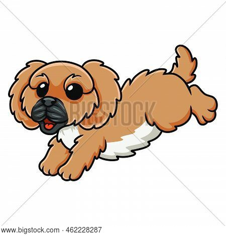 Vector Illustration Of Cute Little Pekingese Dog Cartoon