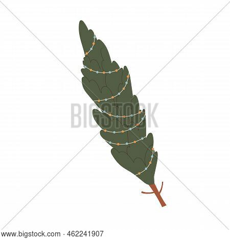 Christmas Fir Tree Tied With Rope, String. Xmas Live Firtree For Winter Holiday. Traditional Undecor