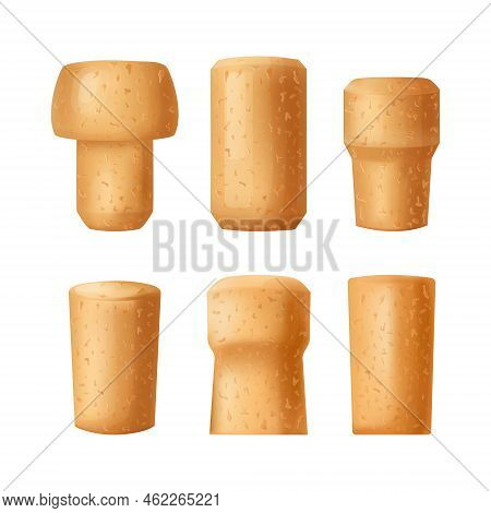 Set Cork Stopper Wooden Taps. Wine Bung In Cartoon. Corkwood Plug With Grape Bunch. Vector Illustrat