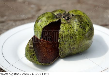 The Black Sapote, Also Known As The Chocolate Pudding Fruit. Exotic Fruit From Mexico. Black Pudding