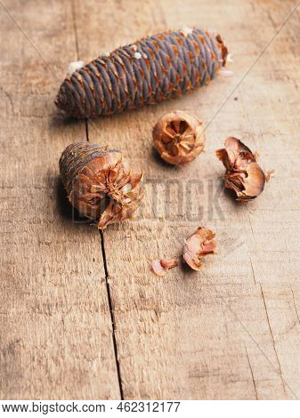 Korea Fir Seeds On A Wooden Garden Table, Forestry And Landscaping Concept