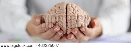 Close-up Of Woman Holding On Hands Two Pieces Of Human Brain, Female Show Fullness On Person Mind. A